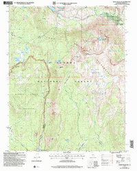 Ward Mountain 2004 topographic map thumbnail