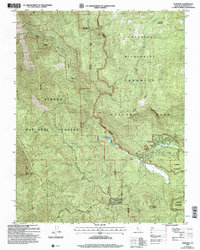 Wawona 2004 topographic map thumbnail