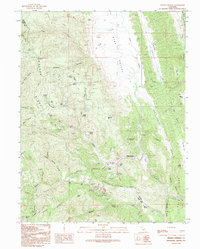 Wilbur Springs 1991 topographic map thumbnail