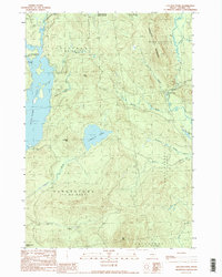 Lincoln Pond 1990 topographic map thumbnail