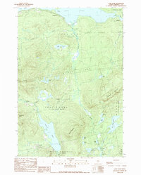 Long Pond 1989 topographic map thumbnail