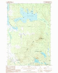 Louise Mountain 1990 topographic map thumbnail