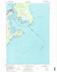 Lubec 1949 topographic map thumbnail