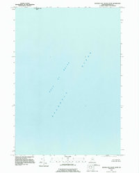 Machias Seal Island South 1993 topographic map thumbnail