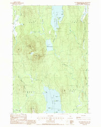 Mattamiscontis Mtn topographic map thumbnail