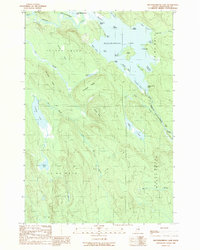 Mattawamkeag Lake 1989 topographic map thumbnail