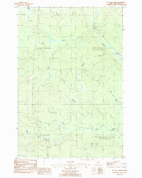 Mc Nally Ridge topographic map thumbnail