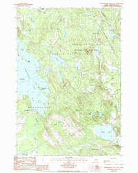 Meddybemps Lake East 1987 topographic map thumbnail