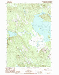Meddybemps Lake West 1987 topographic map thumbnail