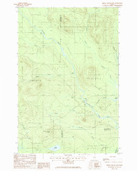 Middle Brook Mtn topographic map thumbnail