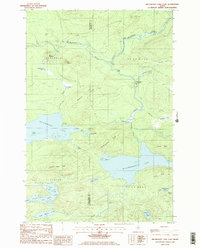Millinocket Lake East 1985 topographic map thumbnail