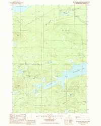 Millinocket Lake West 1985 topographic map thumbnail