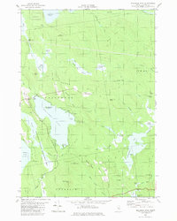 Molasses Pond 1982 topographic map thumbnail