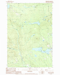 Monson West 1989 topographic map thumbnail