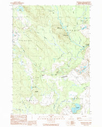 Montegail Pond 1990 topographic map thumbnail