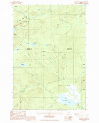 Mooseleuk Lake 1985 topographic map thumbnail