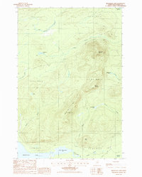 Mooseleuk Mtn topographic map thumbnail