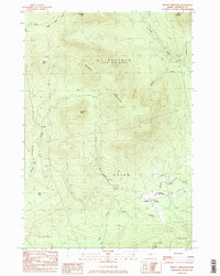 Mount Abraham 1984 topographic map thumbnail