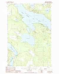 Mud Pond 1988 topographic map preview