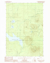 Nesowadnehunk Lake 1988 topographic map thumbnail