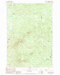 New Vineyard 1989 topographic map thumbnail