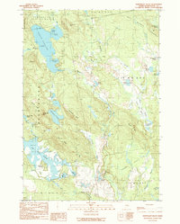 Northeast Bluff 1990 topographic map thumbnail