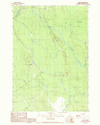 Olamon 1988 topographic map preview