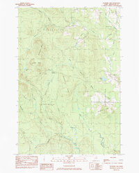 Packard Lake 1984 topographic map thumbnail