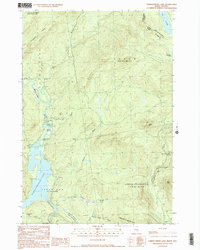 Parmachenee Lake 1990 topographic map thumbnail