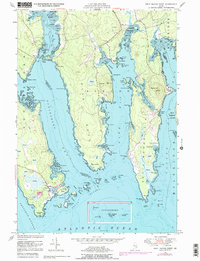 Petit Manan Point 1948 topographic map thumbnail