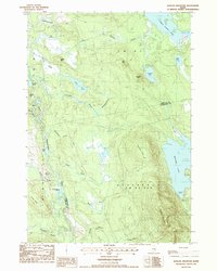 Quillpig Mountain 1987 topographic map thumbnail