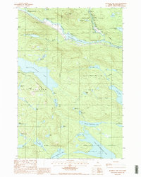 Rainbow Lake East 1988 topographic map thumbnail