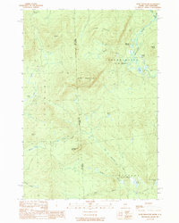 Rump Mountain 1989 topographic map thumbnail