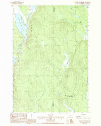 Salmon Stream Lake 1988 topographic map thumbnail