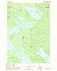 Scraggly Lake 1988 topographic map thumbnail