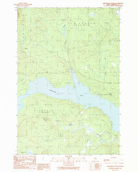 Seboomook Lake East 1989 topographic map thumbnail