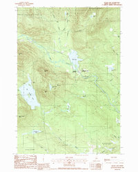 Silver Lake 1988 topographic map thumbnail