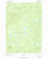 Skinner 1970 topographic map preview
