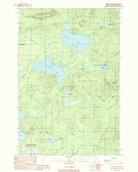 Spider Lake 1989 topographic map thumbnail