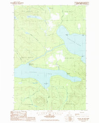 Square Lake West 1986 topographic map thumbnail
