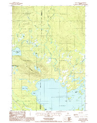 Trout Mtn topographic map thumbnail