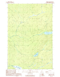 Turner Pond 1989 topographic map thumbnail