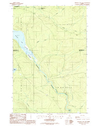 Umsaskis Lake East 1986 topographic map thumbnail