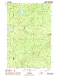 Wadleigh Pond 1989 topographic map thumbnail