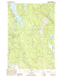 Wesley 1990 topographic map thumbnail