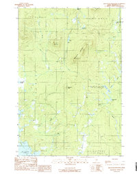 Whetstone Mountain 1989 topographic map thumbnail