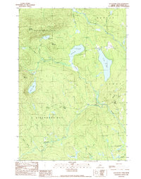 Whetstone Pond 1989 topographic map thumbnail