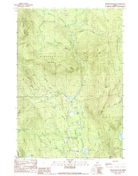 Witham Mtn topographic map thumbnail