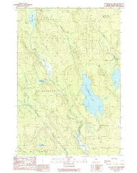 Wytopitlock Lake 1989 topographic map thumbnail