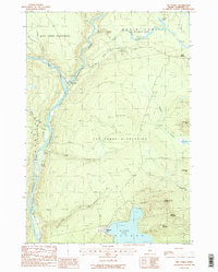 The Forks 1988 topographic map thumbnail